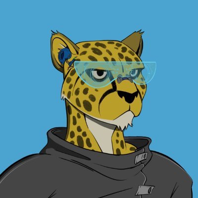 DeFi Cheetah - e/acc